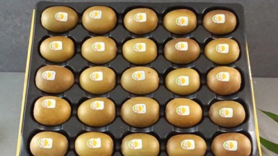 ✨ 놓치면 후회! 제스프리 키위세트 역대급 할인 후기🥝